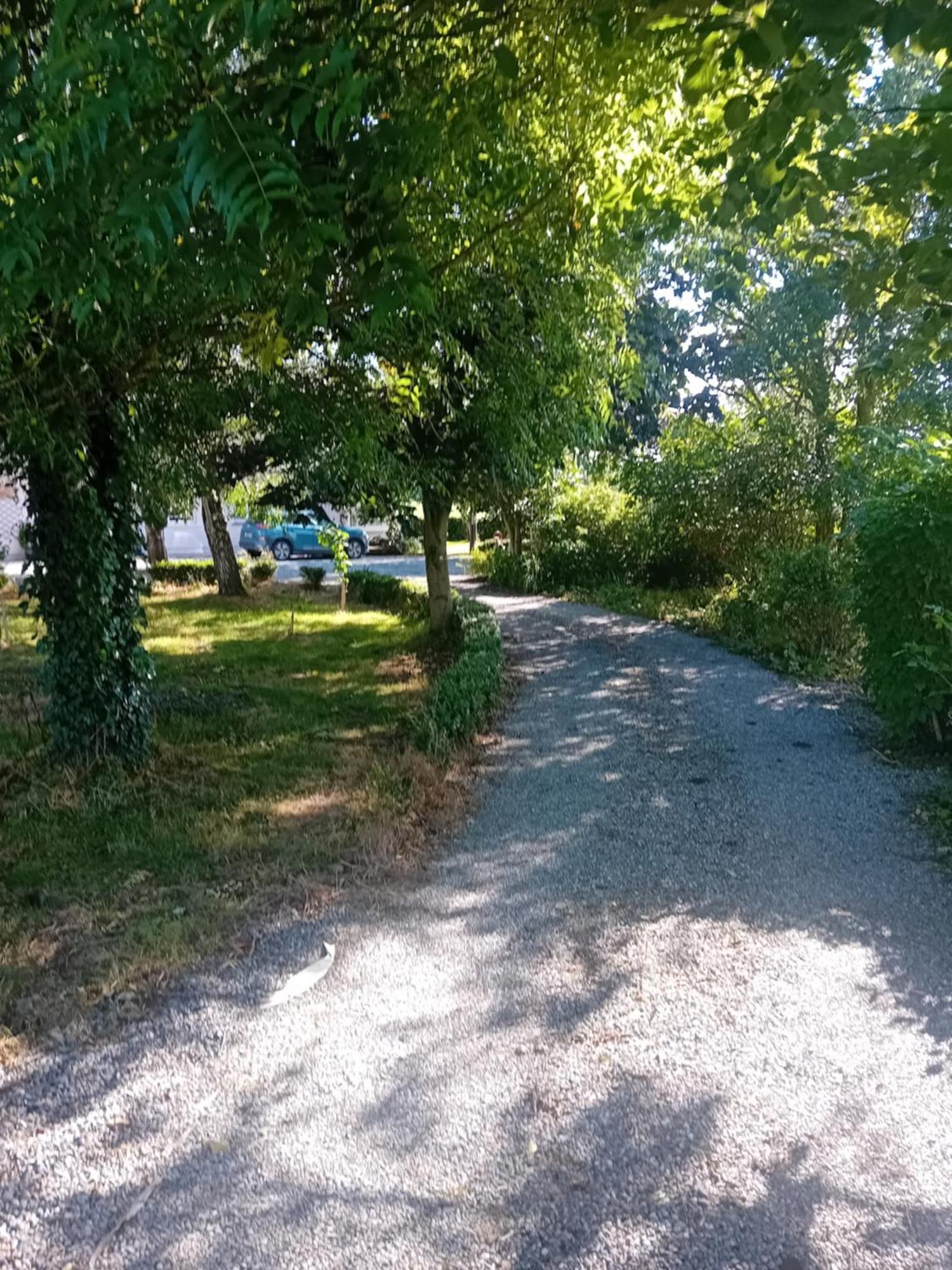 Annaswood B&B Cahir Exterior photo